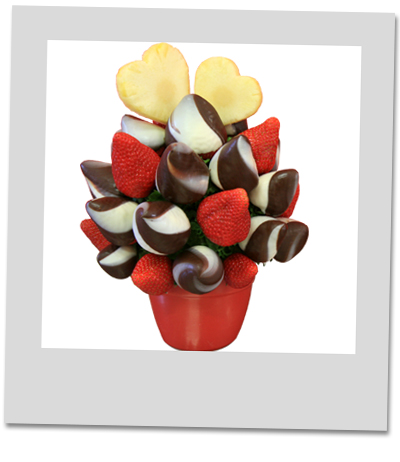 Swissle Valentine Swissle Valentine